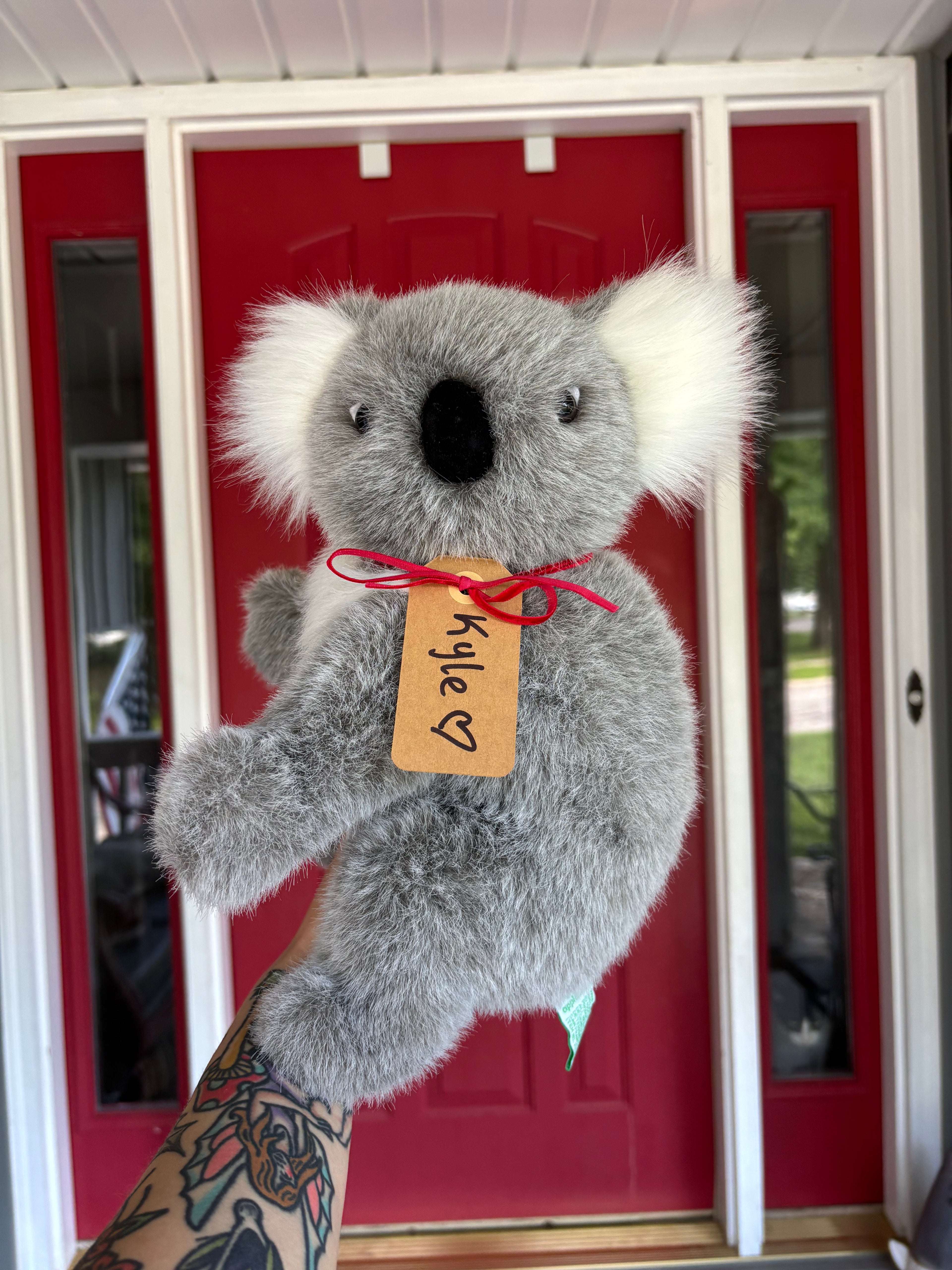 Kyle Koala